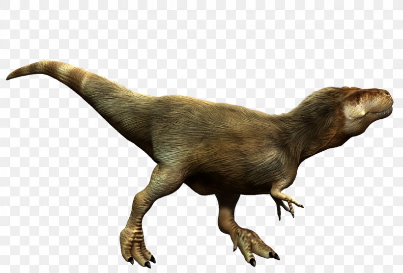 Tyrannosaurus Albertosaurus Tarbosaurus Megalosaurus Guanlong, PNG, 1075x730px, Tyrannosaurus, Albertosaurus, Allosaurus, Dinosaur, Fauna Download Free