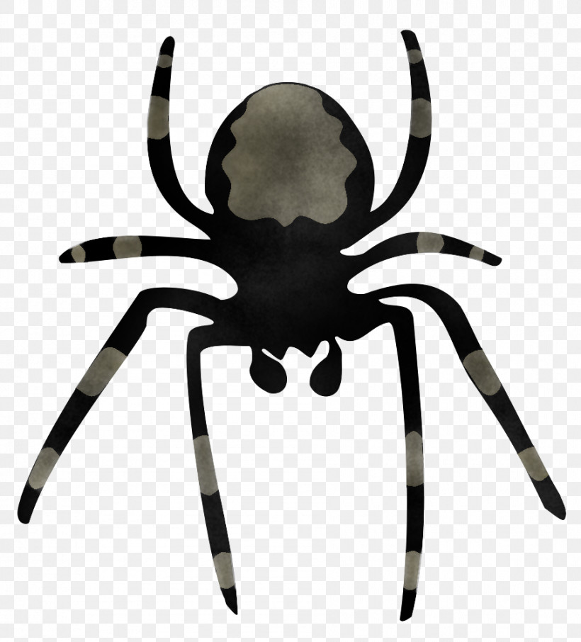 Spider Tarantula Orb-weaver Spider Arachnid Insect, PNG, 905x1000px, Spider, Arachnid, Araneus, European Garden Spider, Insect Download Free