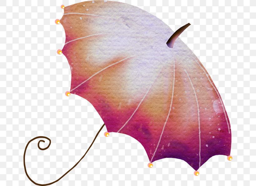 Umbrella Clip Art, PNG, 670x598px, Umbrella, Leaf, Photography, Picture Frame, Plant Download Free