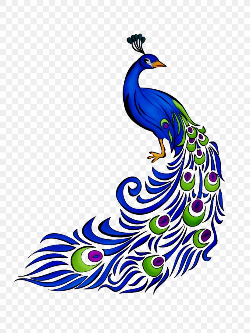 Clip Art Peafowl Illustration Image Vector Graphics, PNG, 1157x1542px, Peafowl, Bird, Drawing, Feather, Indian Peafowl Download Free