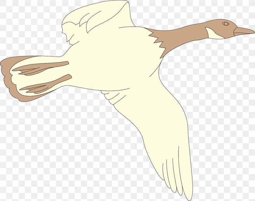 Duck Goose Flight Cygnini Illustration, PNG, 1280x1009px, Duck, Arm, Art, Beak, Bird Download Free