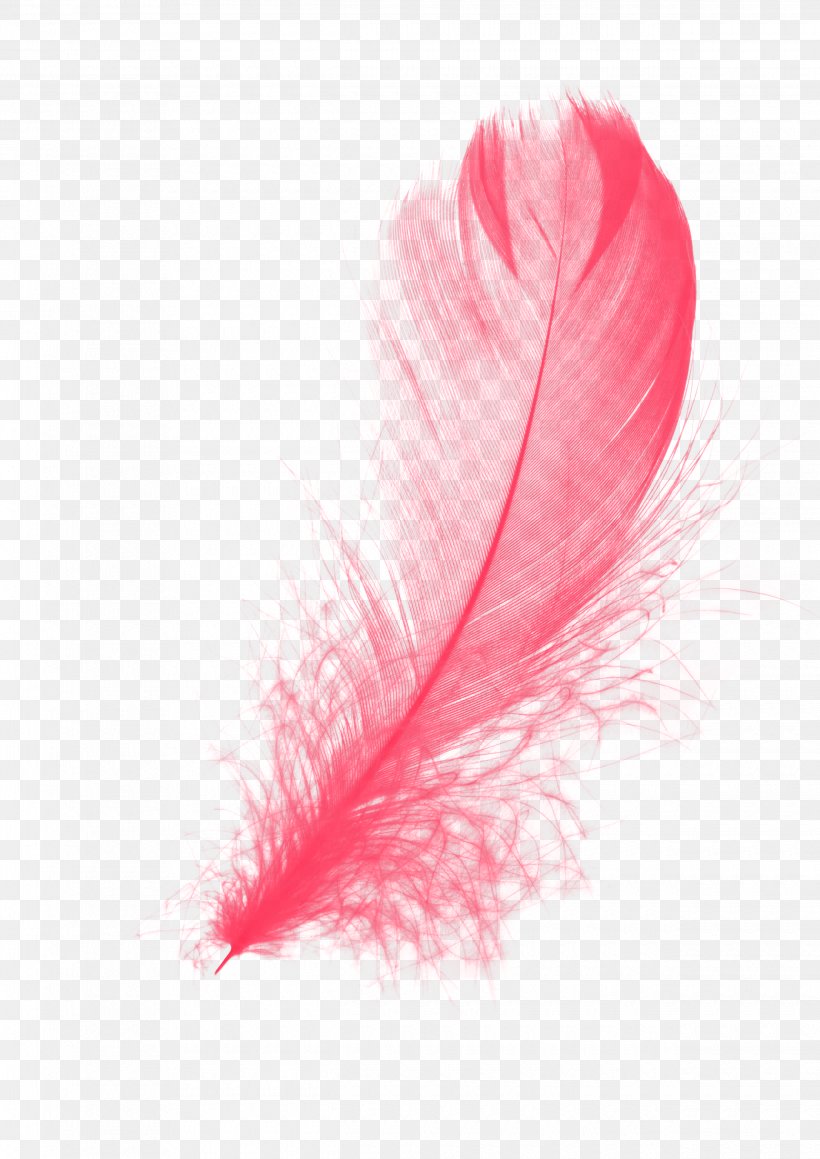 Feather, PNG, 2480x3508px, 3d Computer Graphics, Feather, Adobe Flash Player, Drawing, Information Download Free