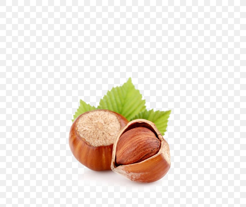 Hazelnut Dried Fruit Almond Walnut, PNG, 540x690px, Hazelnut, Almond, Chocolate, Chocolate Spread, Dessert Download Free