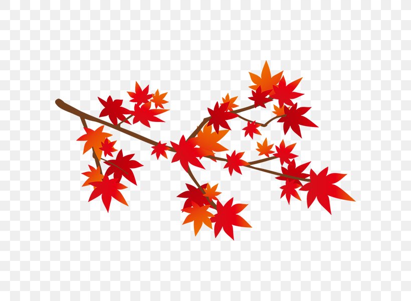 Illustration Autumn Leaf Color Monochrome Painting Graphics Design, PNG, 600x600px, Autumn Leaf Color, Autumn, Branch, Color, Flowering Plant Download Free