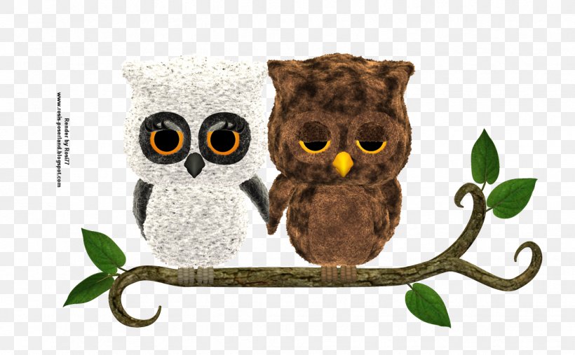 Owl Fauna Beak, PNG, 1337x828px, Owl, Beak, Bird, Bird Of Prey, Fauna Download Free