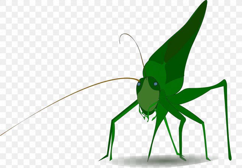 Insect Grasshopper Clip Art, PNG, 2400x1670px, Insect, Animation, Arthropod, Caelifera, Cartoon Download Free
