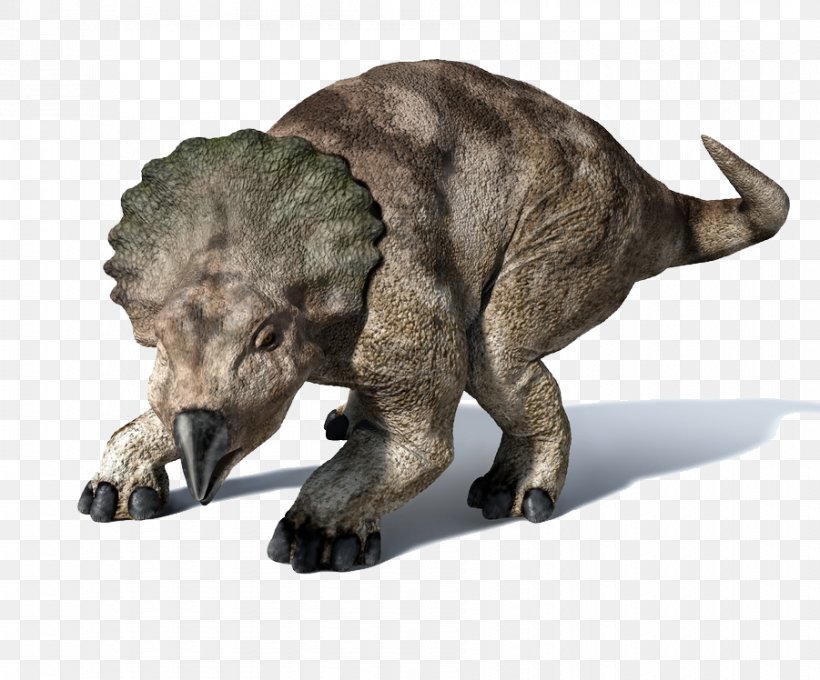 Protoceratops Triceratops Psittacosaurus Pentaceratops Velociraptor, PNG, 901x748px, Protoceratops, Campanian, Charles R Knight, Cretaceous, Dinosaur Download Free