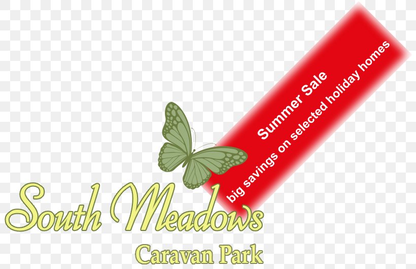 South Meadows Caravan Park Campsite House, PNG, 810x530px, Caravan Park, Accommodation, Brand, Camping, Campsite Download Free