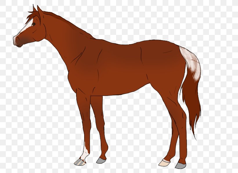 Horse Blanket Cob Pintabian Equestrian Stallion, PNG, 773x595px, Horse Blanket, Bit, Bridle, Brindle, Cob Download Free
