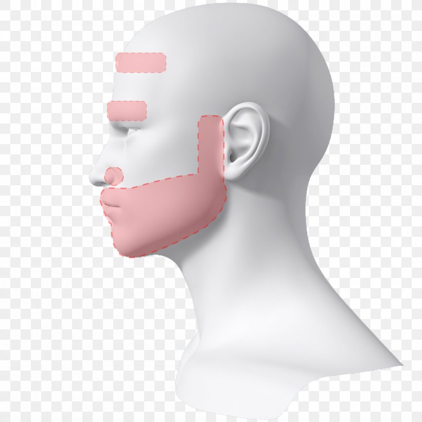 Thumb Chin Jaw, PNG, 1000x1000px, Thumb, Chin, Ear, Finger, Hand Download Free