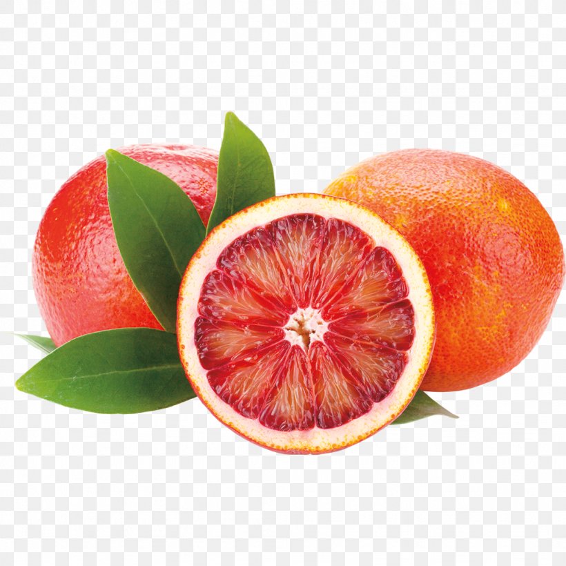 Blood Orange Orange Juice Grapefruit, PNG, 1024x1024px, Blood Orange, Bitter Orange, Citric Acid, Citrus, Clementine Download Free