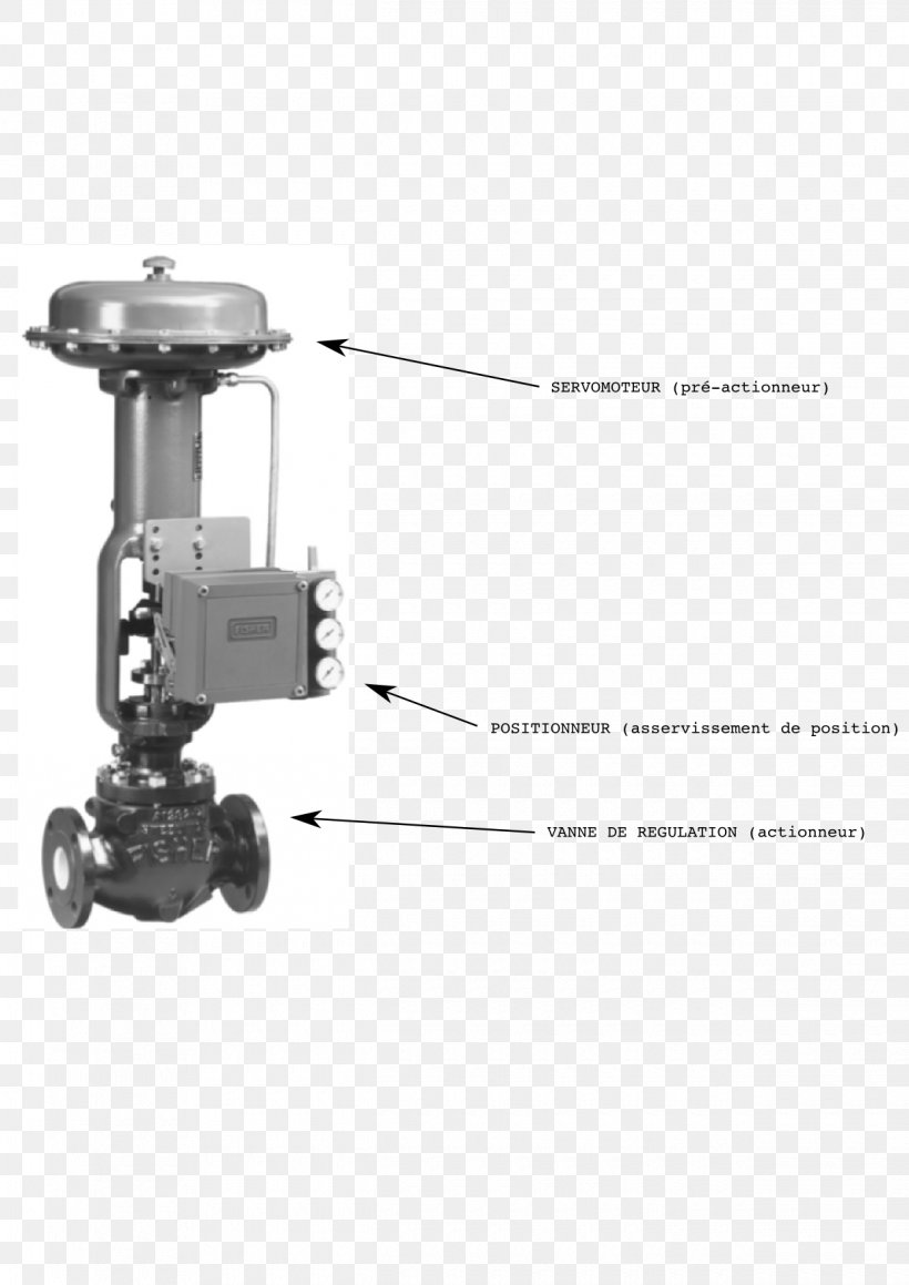 Control Valves Posicionador Instrumentation Pneumatics, PNG, 1240x1754px, Control Valves, Automation, Boiler, Calibration, Control Engineering Download Free