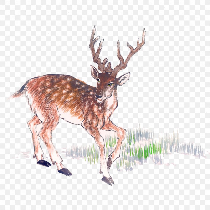 Deer Chinese Painting Ink Wash Painting, PNG, 1417x1417px, Deer, Antler, Art, Calligraphy, Chinese Painting Download Free