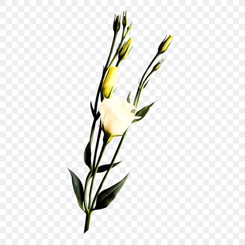 Flower Icon, PNG, 500x820px, Flower, Branch, Bud, Computer Graphics, Cut Flowers Download Free