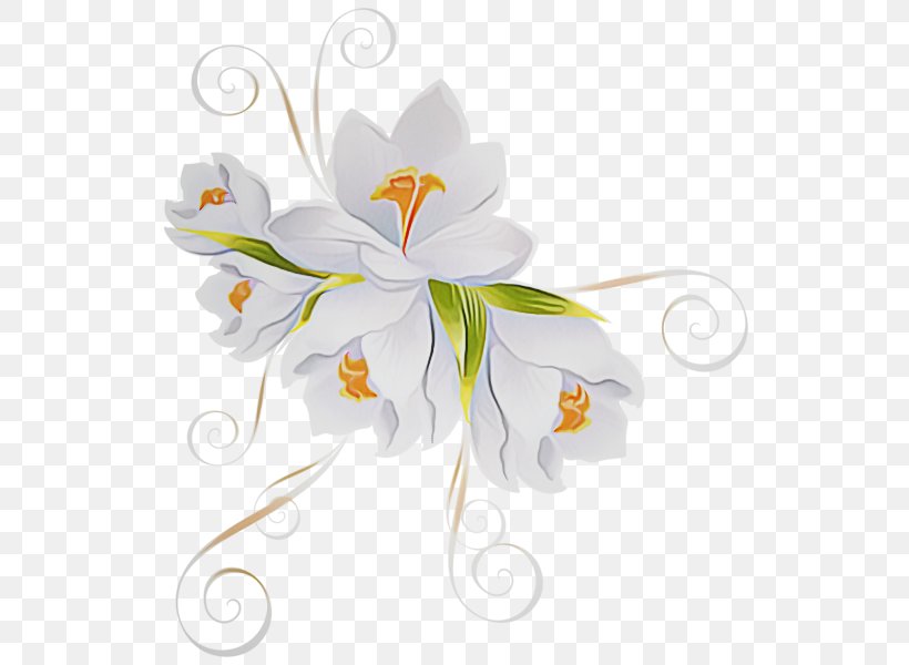 Flowering Plant White Flower Plant Lily, PNG, 544x600px, Flowering Plant, Flower, Lily, Pedicel, Petal Download Free
