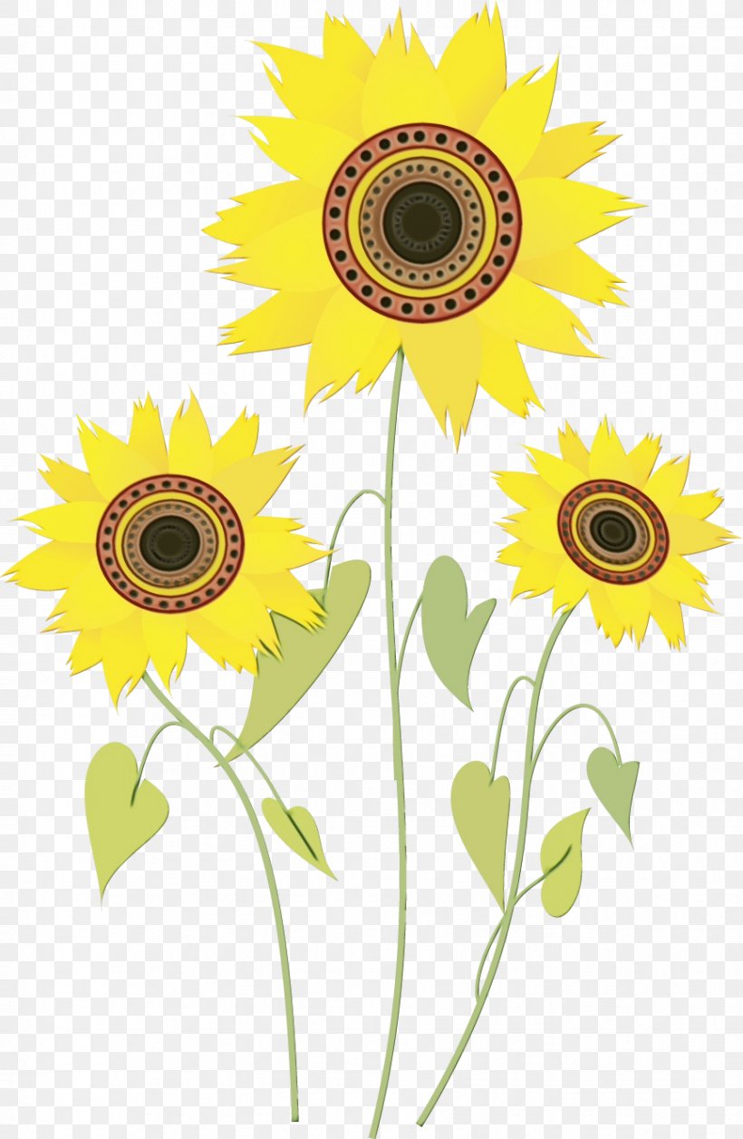 Flowers Background, PNG, 867x1329px, Watercolor, Asterales, Common Sunflower, Cut Flowers, Daisy Family Download Free