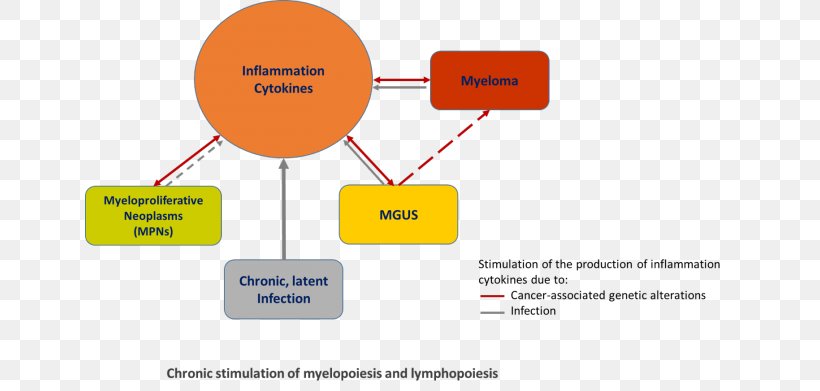 Myeloproliferative Neoplasm Tumors Of The Hematopoietic And Lymphoid Tissues Chronic Condition Inflammation Health, PNG, 650x391px, Myeloproliferative Neoplasm, Acute Lymphoblastic Leukemia, Area, Brand, Cancer Download Free