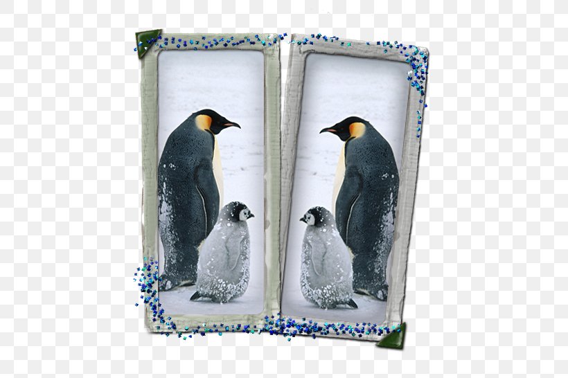 Penguin IPhone XS IPhone 6 Plus IPhone XR, PNG, 502x546px, 4k Resolution, Penguin, Animal, Beak, Bird Download Free