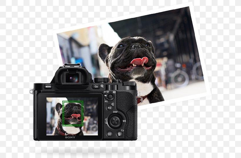 Sony Alpha 7R Sony α7 Camera Lens Full-frame Digital SLR, PNG, 637x538px, Sony Alpha 7r, Autofocus, Camera, Camera Lens, Cameras Optics Download Free