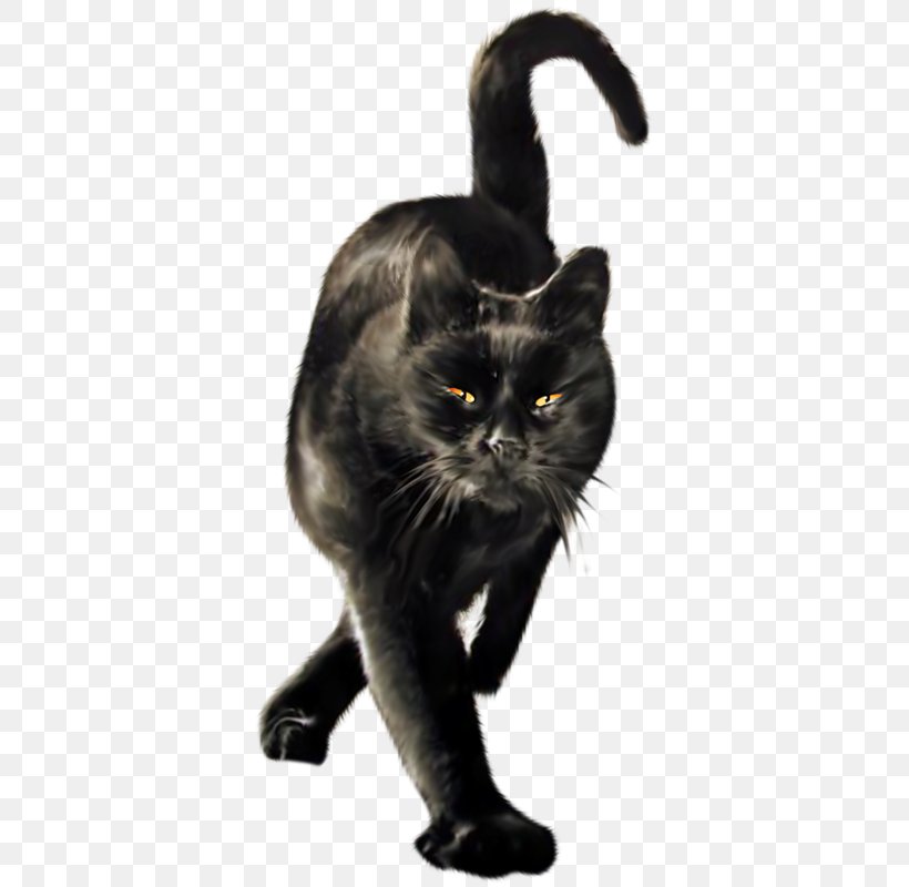 Black Cat Wildcat Domestic Short-haired Cat Le Chat Noir, PNG, 364x800px, Black Cat, Black, Bombay, Carnivoran, Cat Download Free