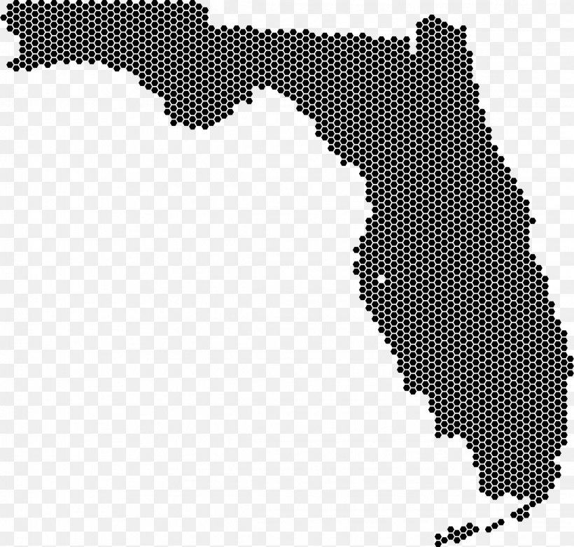 Florida Image File Formats Clip Art, PNG, 2286x2182px, Florida, Black, Black And White, Digital Image, Image File Formats Download Free