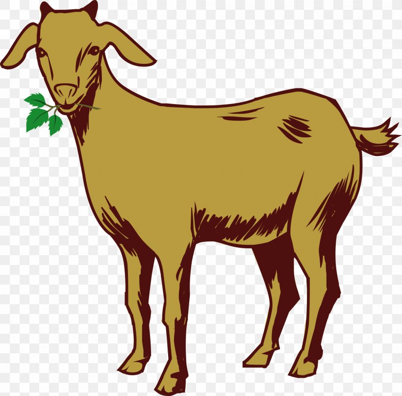 Kinder Goat Sheep, PNG, 1920x1891px, Kinder Goat, Animal, Barbary Sheep, Cattle Like Mammal, Cow Goat Family Download Free