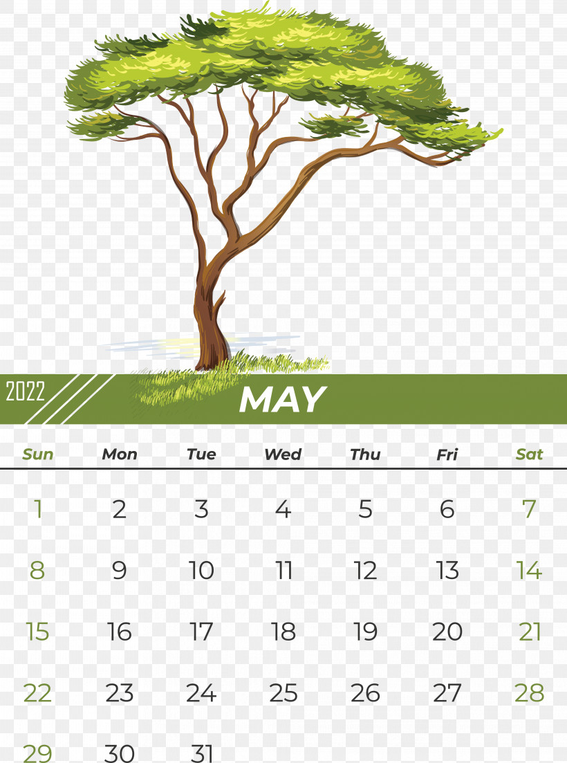 Tree Drawing Baobab Cartoon Shade Tree, PNG, 4047x5446px, Tree, Baobab, Cartoon, Drawing, Royaltyfree Download Free