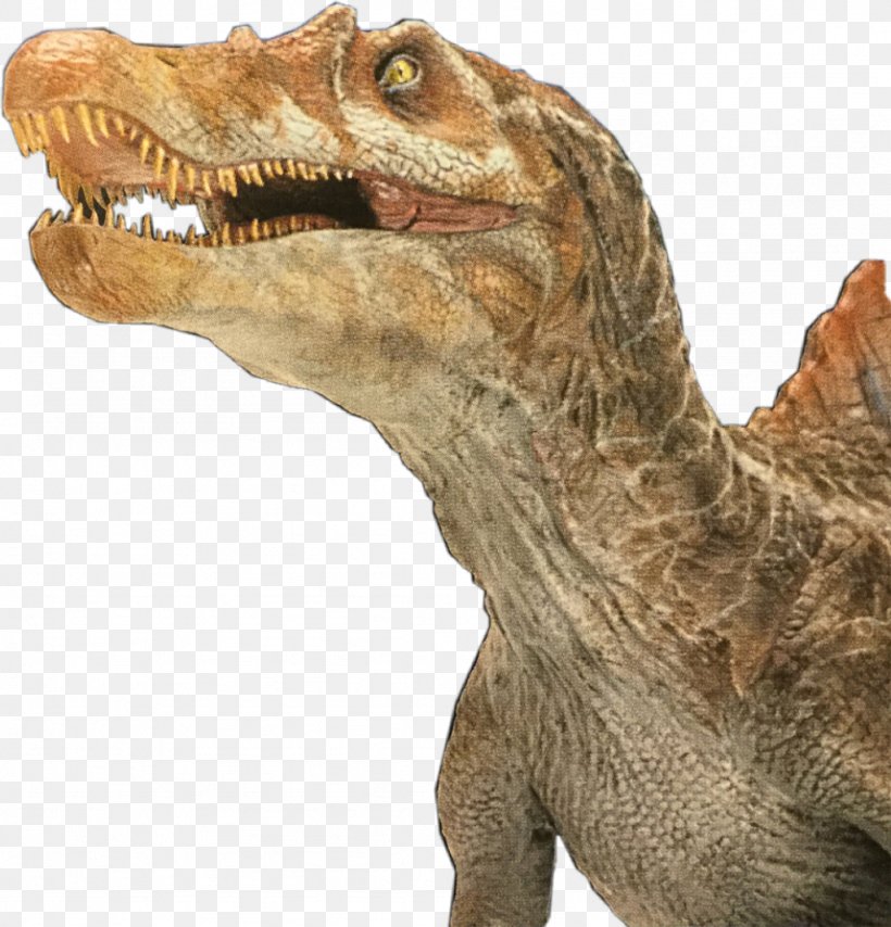 Velociraptor Background, PNG, 1024x1067px, Tyrannosaurus Rex, Animal, Animal Figure, Dinosaur, Extinction Download Free