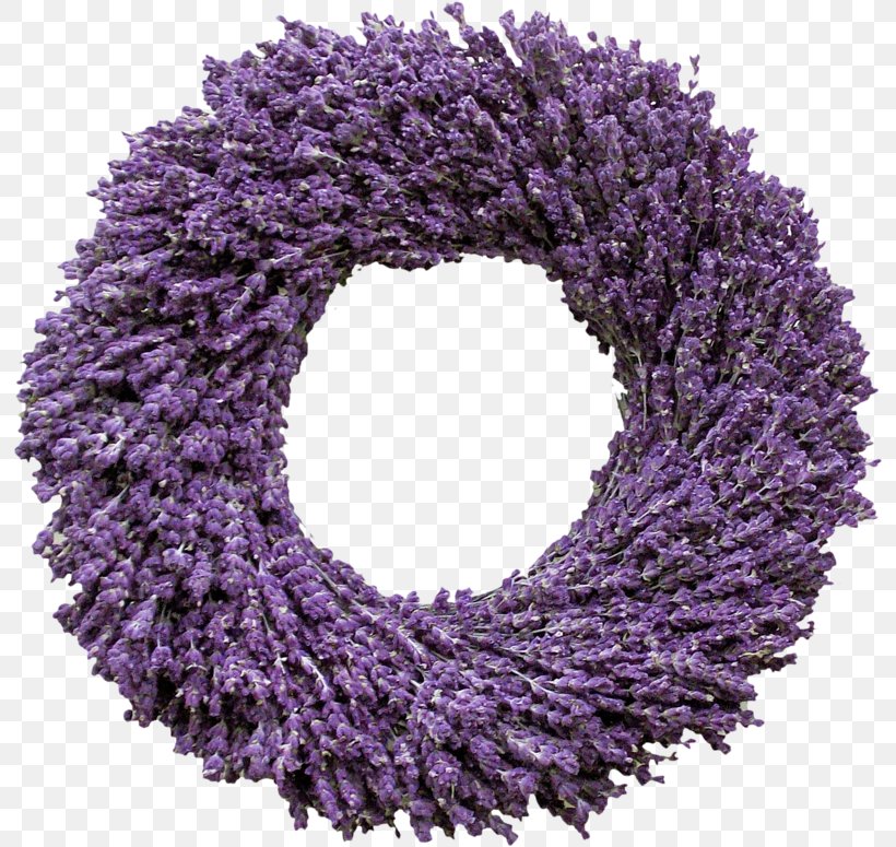 English Lavender French Lavender Wreath Flower, PNG, 796x775px, English Lavender, Christmas, Color, Flower, French Lavender Download Free