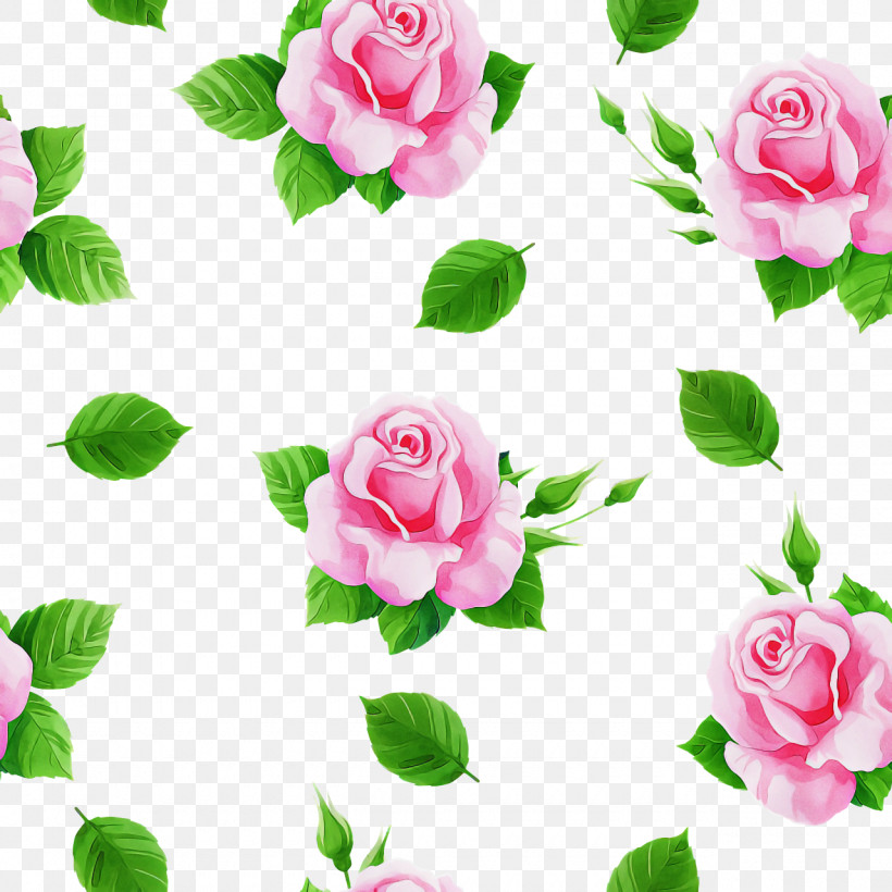 Garden Roses, PNG, 1280x1280px, Garden Roses, Artificial Flower, Biology, Cabbage Rose, Cut Flowers Download Free