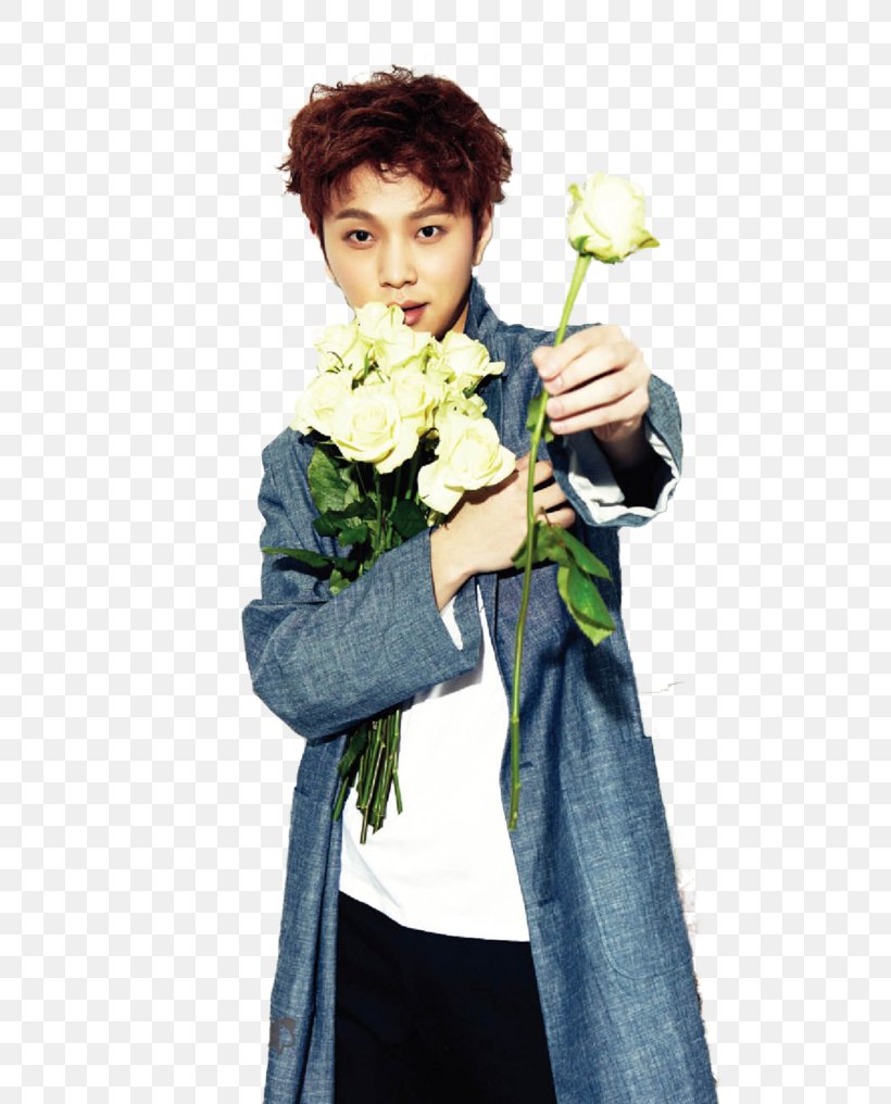 Highlight K-pop Can Be Better Shadow, PNG, 786x1016px, Highlight, Art, Can Be Better, Costume, Floral Design Download Free