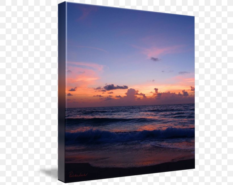 Shore Sea Picture Frames Sky Plc, PNG, 566x650px, Shore, Calm, Dawn, Heat, Horizon Download Free