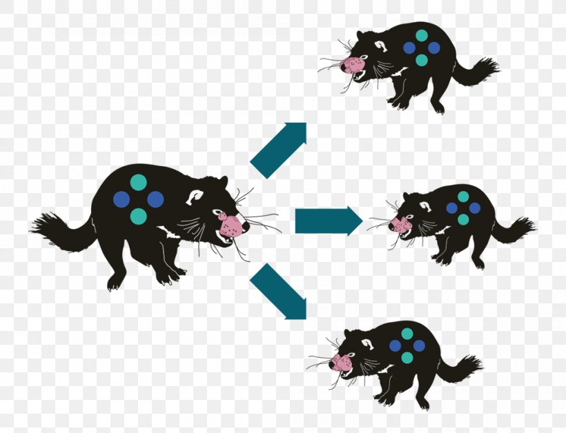 Tasmanian Devil Cat Signage, PNG, 1000x766px, Tasmanian Devil, Animal, Animal Figure, Black Cat, Carnivoran Download Free