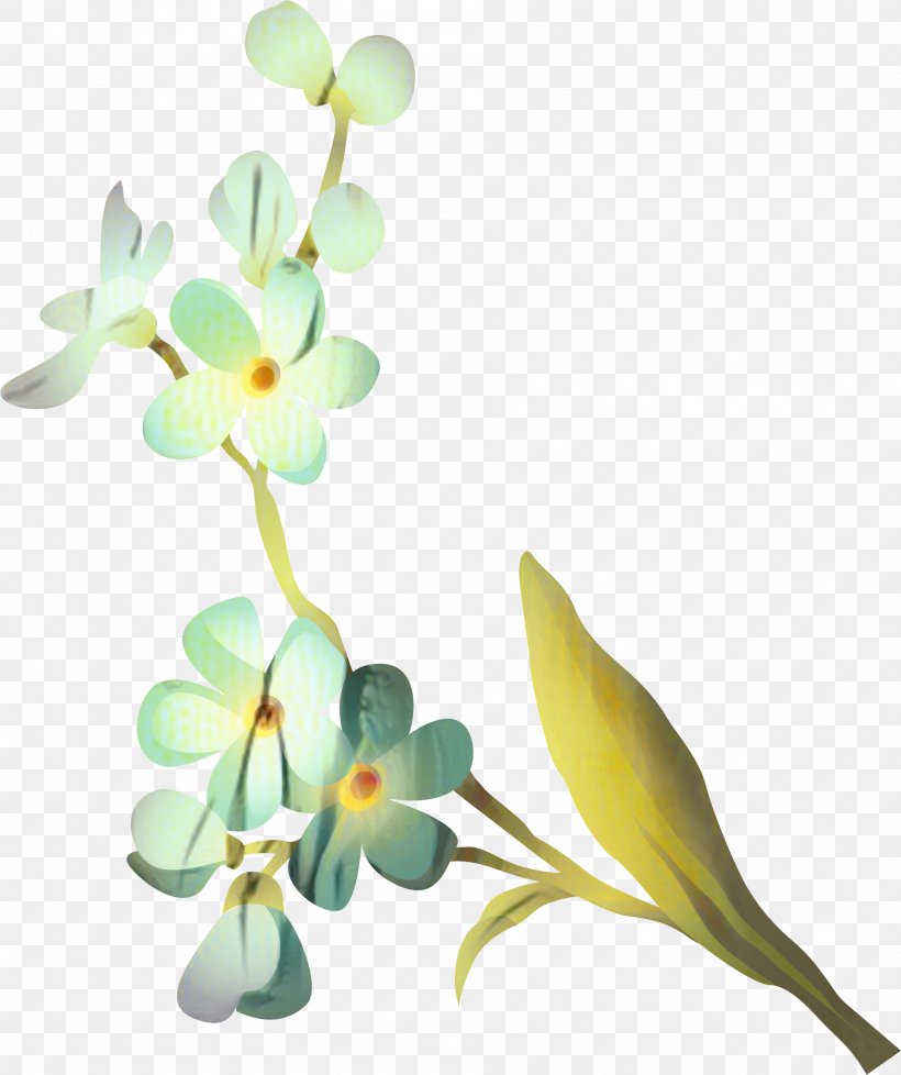 Moth Orchids Cut Flowers Floral Design Plant Stem, PNG, 1893x2260px, Moth Orchids, Botany, Branch, Cut Flowers, Floral Design Download Free