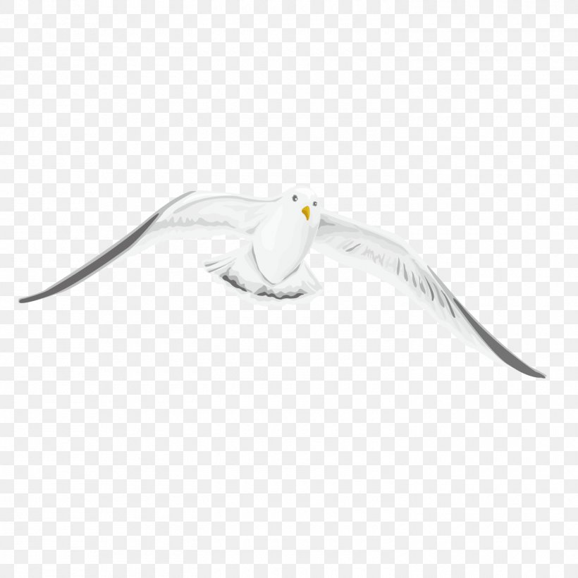 Beak Pattern, PNG, 1500x1500px, Bird, Animal, Beak, Product Design, Wing Download Free