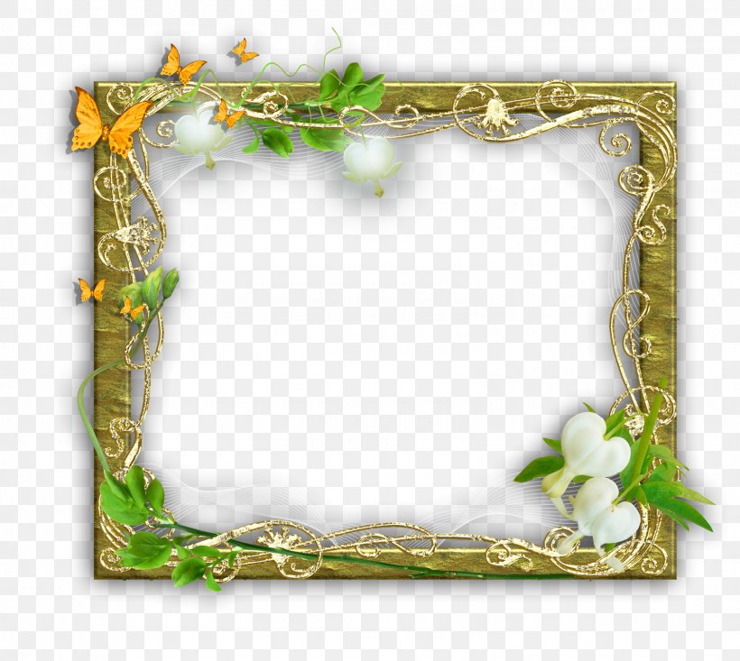 Foto, PNG, 1600x1432px, Photoscape, Border, Branch, Color, Floral Design Download Free