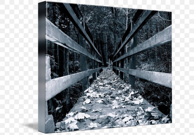 Gallery Wrap Canvas Tree Wood Winter, PNG, 650x570px, Gallery Wrap, Art, Black And White, Canvas, Forest Download Free