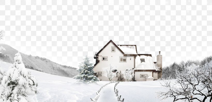 Snow Winter Illustration, PNG, 1228x595px, Snow, Black And White, Brand, Coreldraw, Fundal Download Free