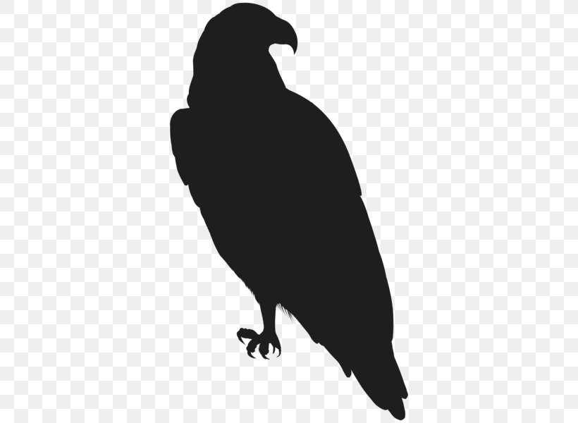 Black And White Silhouette Clip Art, PNG, 342x600px, Black And White, Art Museum, Beak, Bird, Black Download Free