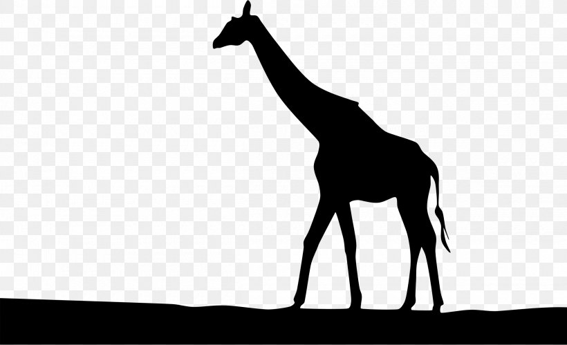 Giraffe Silhouette Clip Art, PNG, 2400x1462px, Giraffe, Art, Black And White, Drawing, Fauna Download Free