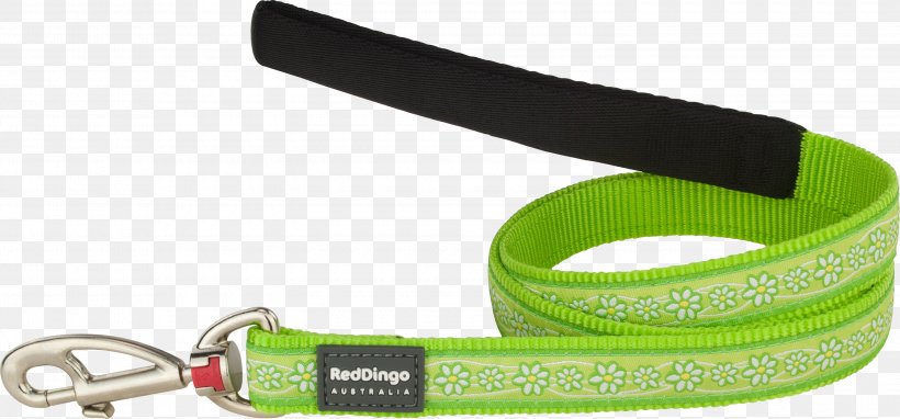 Leash Dog Collar Dingo Dog Harness, PNG, 3000x1398px, Leash, Blue, Chain, Collar, Color Download Free