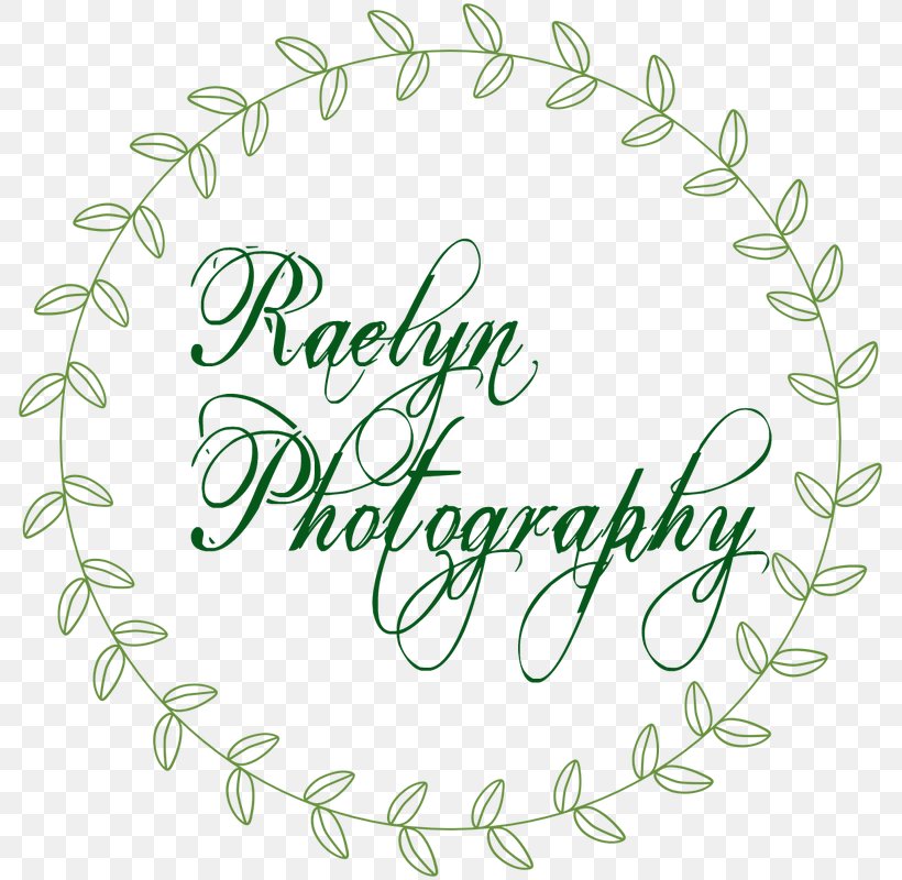 Photography Party Photographer Birthday, PNG, 791x800px, Photography, Area, Birthday, Calligraphy, Child Download Free