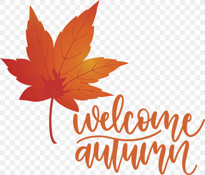 Welcome Autumn Autumn, PNG, 3000x2560px, Welcome Autumn, Autumn, Biology, Flower, Leaf Download Free