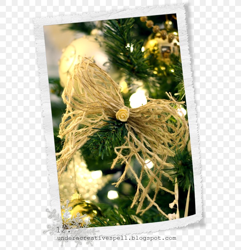 Christmas Ornament Branching, PNG, 603x850px, Christmas Ornament, Branch, Branching, Christmas, Christmas Decoration Download Free