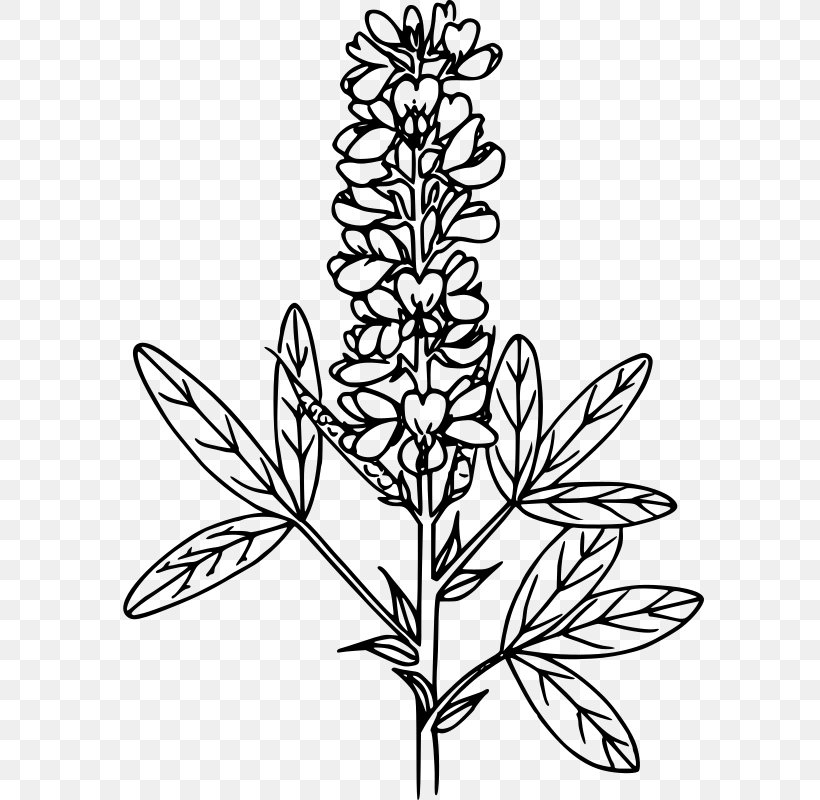 Clip Art, PNG, 588x800px, User Interface, Art, Black And White, Branch, Cut Flowers Download Free