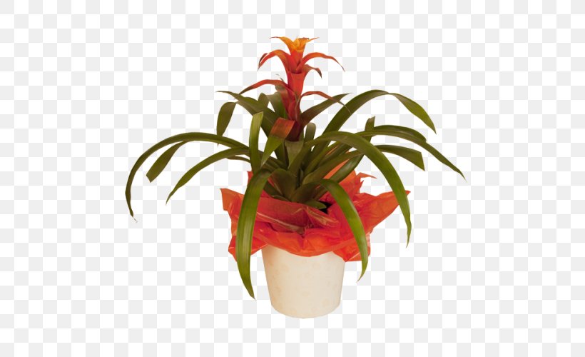 Cut Flowers Floristry Flowerpot Houseplant, PNG, 500x500px, Cut Flowers, Floristry, Flower, Flowering Plant, Flowerpot Download Free