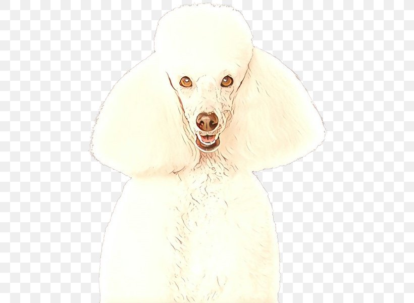 Dog White Poodle Dog Breed Miniature Poodle, PNG, 550x600px, Cartoon, Companion Dog, Dog, Dog Breed, Miniature Poodle Download Free