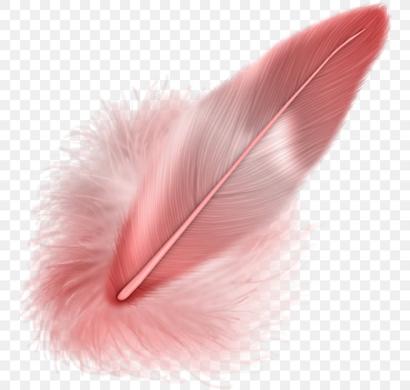 Feather Download Clip Art, PNG, 748x779px, Feather, Blog, Close Up, Color, Drawing Download Free