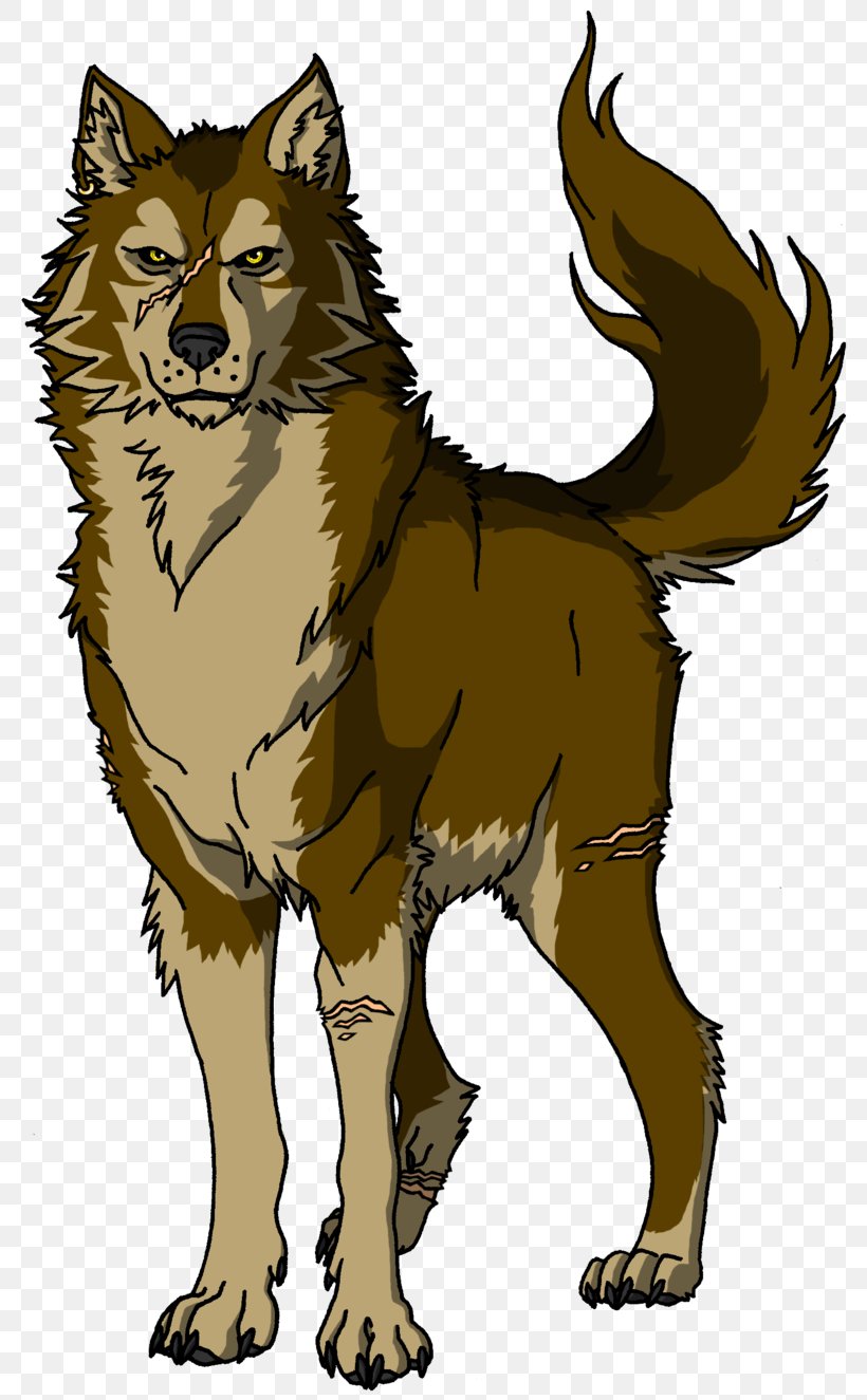 Dog Puppy Drawing Red Wolf, PNG, 800x1325px, Dog, Art, Black Wolf, Canidae, Carnivoran Download Free