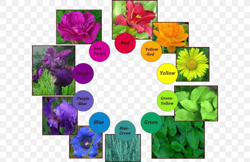 Hue Green Color Violet Floral Design, PNG, 610x534px, Hue, Annual Plant, Blue, Bluegreen, Color Download Free
